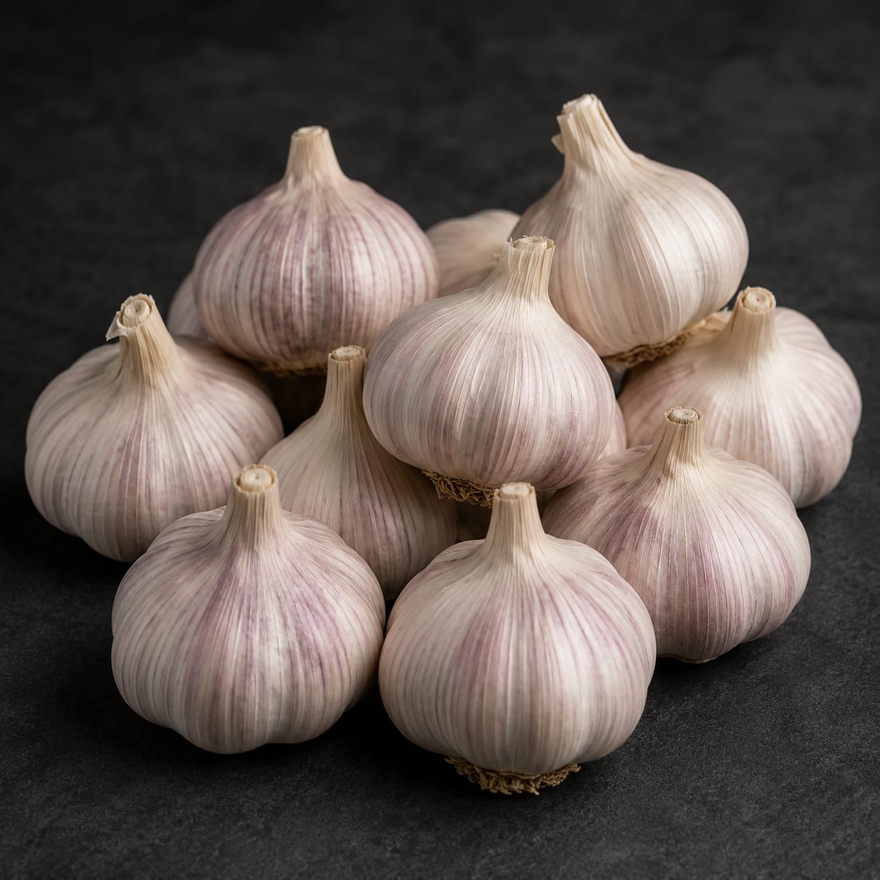 Egaseed-1（EGAS Seed)